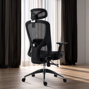 boulies ep200 office chair